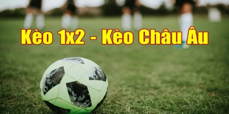 Sảnh Ku11 thể thao cung cấp kèo châu âu