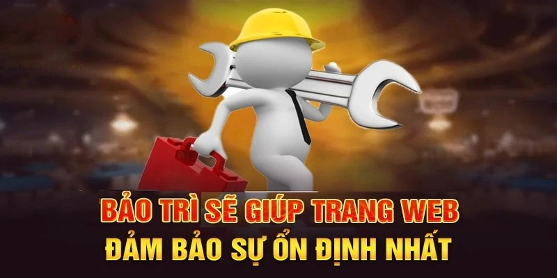 Ku11 bảo trì thường xuyên giúp trang web ổn định